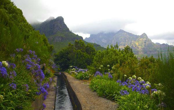 Machico Nature Eksteriør bilde